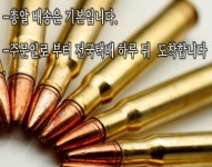 에스(S)대 건어물학과 | 에스
