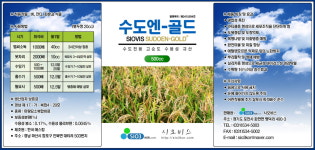 파비스동진 | 시오비스