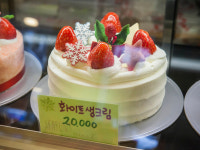 독일양과서사라점 | 코아양과