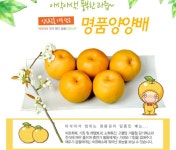 정암산배농원 | 낙산배농원