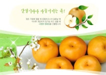 정암산배농원 | 낙산배농원