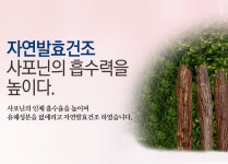 홍삼월드(서구점) | 홍삼월드플러스