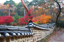 갑사