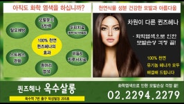 퀸즈헤나 옥수살롱