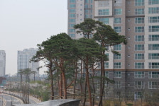 한맥조경㈜ | 한맥조경