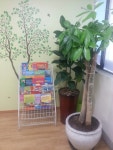 다올역사교습소 | 다올영어교습소