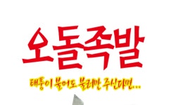 도둑맞은오돌족발 | 오돌족발