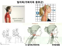 최강청학합기도 | 최강합기도