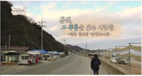 강원자건어물