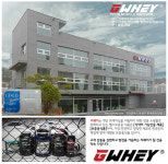 지웨이