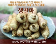 혜원천마농장
