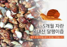 다사금광건강원 | 안서방네건강원
