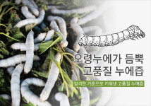 다사금광건강원 | 안서방네건강원