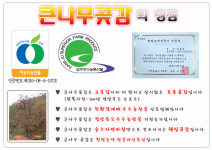 큰나무곶감