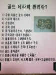 퀸엔퀸피부엔바디