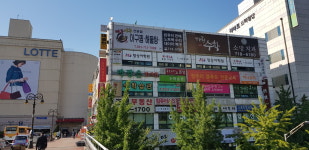 장주미플루트전문교육