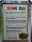 청목원왕쑥화로불쑥뜸찜 - 안동시 평화윗길 130-1 | 청목원 왕쑥화로불쑥뜸찜