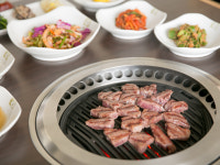 바로선백향목 | 백향목