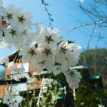 산너울펜션민박 | 산너울펜션