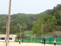 홍천테니스코트