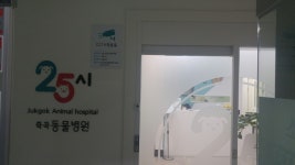 25시 죽곡동물병원