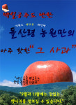 법인여수돌산관광농원 | 돌산령농원