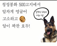 호두붐 봉화산역 | 봉화알꽉찬호두