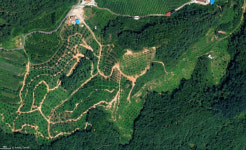 호두붐 봉화산역 | 봉화알꽉찬호두