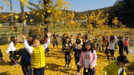 진희네실사랑방 | 질울고래실마을