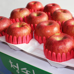 신들해식품, 농원 | 한이농원