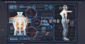 카이로스피씨씨 | 아이에프에이 카이로스사업단