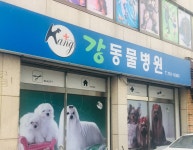 강동물병원
