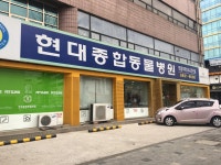 현대종합동물병원