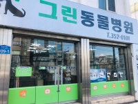 그린동물병원