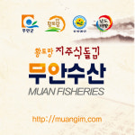 무안수산