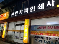선인카피사