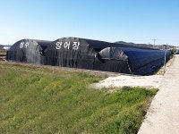 청수양어농원 | 청수양어장