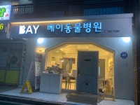 베이동물병원
