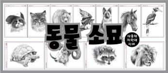 미술북