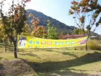 파크골프협동조합