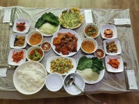 이수도 갈매기 민박