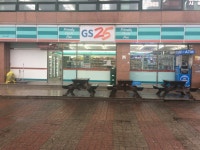 GS25 진해코아점