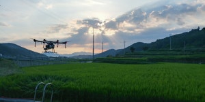 다이앤튜터스앤멘토스그룹 | 디앤알팩토리 본사