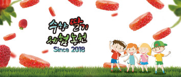 아침애딸기체험관광농원 | 수향딸기체험농원