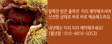 호두붐 봉화산역 | 봉화알꽉찬호두