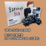 포도알농원