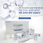 셀디치