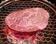 (주)우텐더코리아 | 우텐더