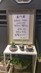 도다모