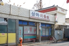 상아이발관